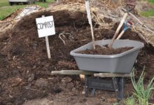 8 Kebun Ini Justru Makin Subur Berkat Limbah Ternak yang Diolah