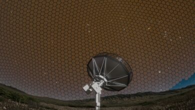 DSA Siap Memindai Langit Lebih Cepat dari Apa Pun, Ribuan Antena Disiapkan di Nevada