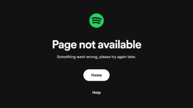 Spotify Tumbang di Banyak Negara, Lagu Macet dan Playlist Ikut Tak Bisa Dibuka