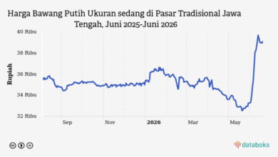 Harga Bawang Putih di Jawa Tengah Menanjak Lagi, Sentuh Rp39,15 Ribu per Kg