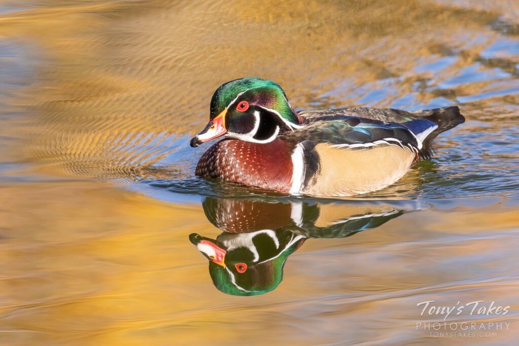 Good Duck Hadirkan Ruang Refleksi Tanpa Nasihat, Dibangun Lewat LEGO® SERIOUS PLAY®