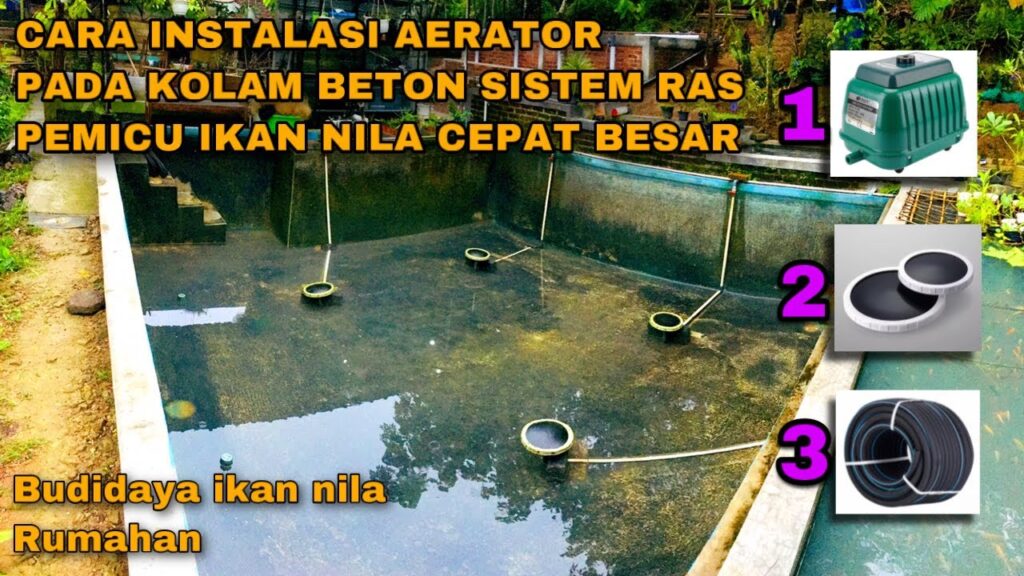 Venturi Sederhana untuk Ikan Gabus Rumahan, Oksigen Kolam Lebih Stabil