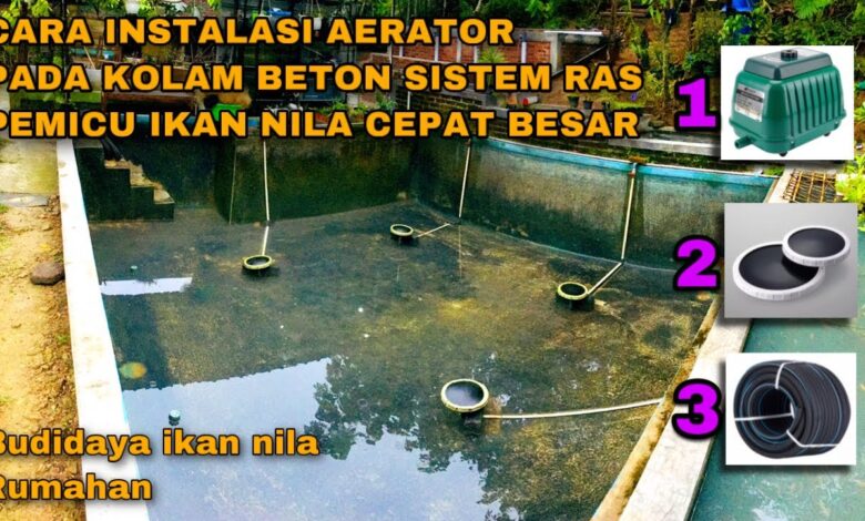 Venturi Sederhana untuk Ikan Gabus Rumahan, Oksigen Kolam Lebih Stabil