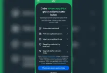 WhatsApp Plus Hadir di Indonesia, Coba Gratis Sebulan Sebelum Bayar Rp13.900