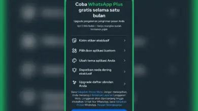 WhatsApp Plus Hadir di Indonesia, Coba Gratis Sebulan Sebelum Bayar Rp13.900