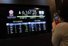 Yield Dividen PALM Cuma Sekitar 1%, Pembayaran Rp50,34 Miliar Segera Cair