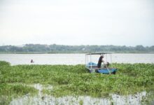 Eceng Gondok Diubah Jadi Sumber Cuan, Pertamina Dorong Inovasi Warga di Sumsel dan Jateng