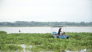 Eceng Gondok Diubah Jadi Sumber Cuan, Pertamina Dorong Inovasi Warga di Sumsel dan Jateng