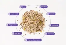 Multigrain Disorot, Serat Praktis yang Membantu Pencernaan dan Jaga Jantung