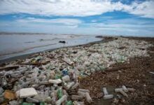 Material Daur Ulang Mengangkat Citra Smartphone, Konsumen Ikut Dapat Nilai Tambah
