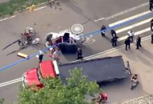 Kematian Turis India di Central Park Picu Desakan Larangan Kereta Kuda