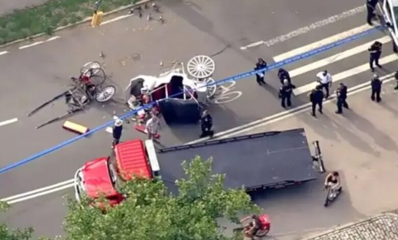 Kematian Turis India di Central Park Picu Desakan Larangan Kereta Kuda