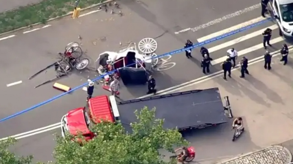 Kematian Turis India di Central Park Picu Desakan Larangan Kereta Kuda