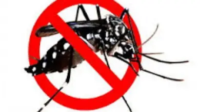 Ribuan Klaim DBD, Tifoid, dan TBC Menguatkan Sinyal Bahaya Penyakit Tropis
