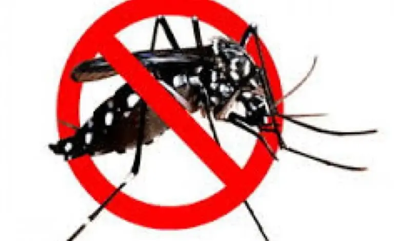 Ribuan Klaim DBD, Tifoid, dan TBC Menguatkan Sinyal Bahaya Penyakit Tropis