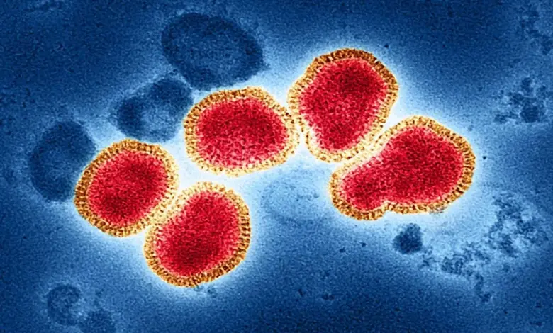 523 Suspek Flu Singapura Tersebar di Sumsel, Palembang Paling Tinggi