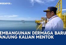 ASDP Perkuat Tanjung Kalian, Dermaga Baru Disiapkan Hadapi Lonjakan Penumpang
