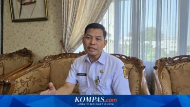 228 Ribu Calon Murid Lolos SPMB Jateng, Daftar Ulang Wajib Selesai 25 Juni