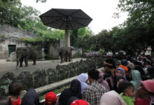 11 Museum dan 3 Ikon Wisata Jakarta Bisa Gratis Masuk, Ini Syaratnya
