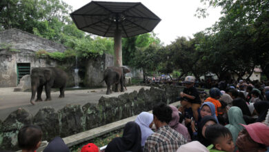 11 Museum dan 3 Ikon Wisata Jakarta Bisa Gratis Masuk, Ini Syaratnya