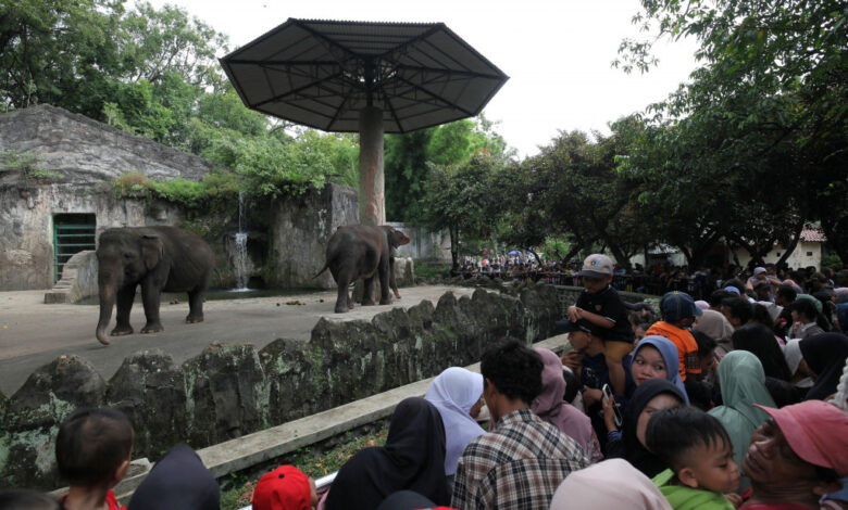 11 Museum dan 3 Ikon Wisata Jakarta Bisa Gratis Masuk, Ini Syaratnya