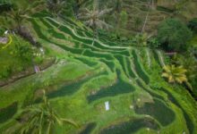 6 Prompt Gemini AI yang Membuat Foto di Canggu Terlihat Nyata Tanpa Liburan