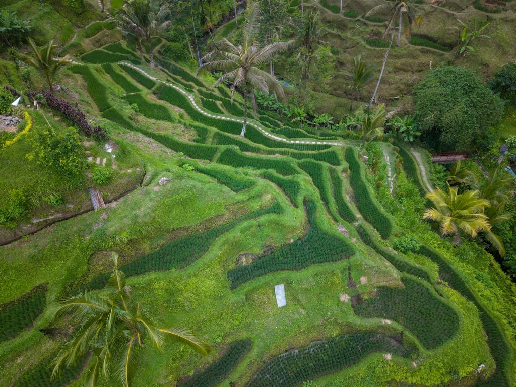 6 Prompt Gemini AI yang Membuat Foto di Canggu Terlihat Nyata Tanpa Liburan