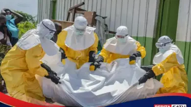 Ebola di Kongo Kian Mendesak, 896 Kasus Bikin WHO Tetap Siaga