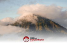 Angin Kencang Dan Hujan Menguat Di Jatim, BMKG Minta Warga Tetap Waspada
