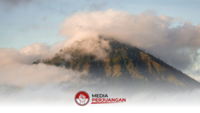 Angin Kencang Dan Hujan Menguat Di Jatim, BMKG Minta Warga Tetap Waspada