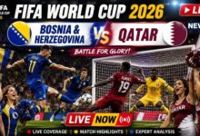 Gol Bunuh Diri Ubah Arah Laga, Bosnia Sudah Unggul 2-1 atas Qatar di Babak Pertama