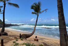 7 Prompt Gemini AI yang Bikin Suasana Maui Terasa Natural di Foto Liburan