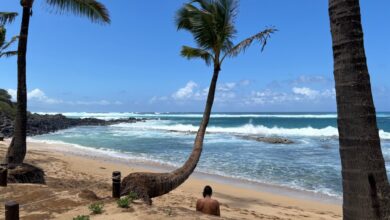 7 Prompt Gemini AI yang Bikin Suasana Maui Terasa Natural di Foto Liburan