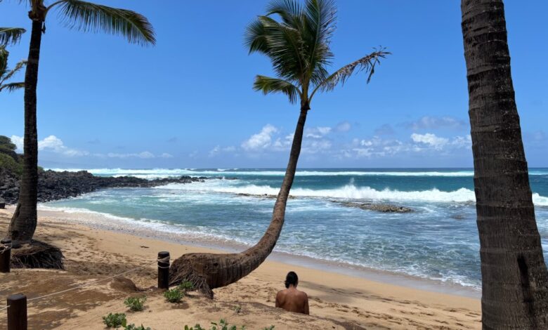 7 Prompt Gemini AI yang Bikin Suasana Maui Terasa Natural di Foto Liburan