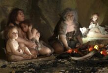 Bayi Neanderthal Ini Ternyata Mirip Manusia Modern, Jejaknya Terlihat di Rahim