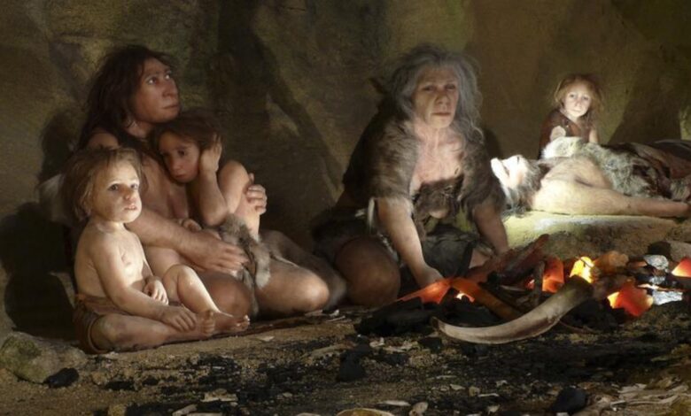 Bayi Neanderthal Ini Ternyata Mirip Manusia Modern, Jejaknya Terlihat di Rahim