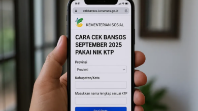 Cek Bansos Lansia dan Disabilitas Kini Bisa Lewat HP, Cukup Pakai NIK KTP