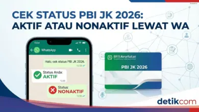 4 Cara Cek Status PBI JK Online, Aktiv atau Nonaktif Bisa Langsung Terdeteksi