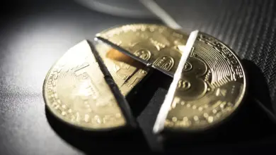 Triliunan Dolar Kripto Raib dalam 261 Hari, Bitcoin Masih Dicari Titik Baliknya