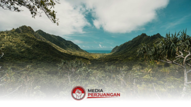 Jawa Tengah Cerah Berawan Seharian, BMKG Tak Keluarkan Peringatan Dini