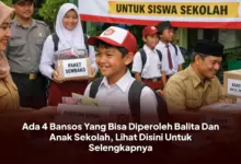 Cek Bansos Balita Kini Cukup Lewat HP, Orang Tua Tak Perlu ke Kantor Desa