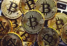 Phishing Kripto Makin Licik, Indodax Ungkap CS Palsu yang Mengincar OTP