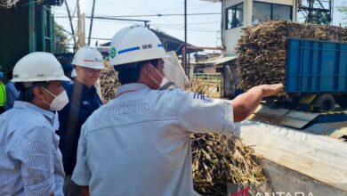 PG Assembagoes Tembus 5.500 TCD, Langkah SGN Makin Dekat ke Swasembada Gula