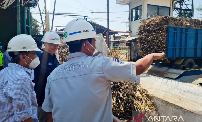 PG Assembagoes Tembus 5.500 TCD, Langkah SGN Makin Dekat ke Swasembada Gula