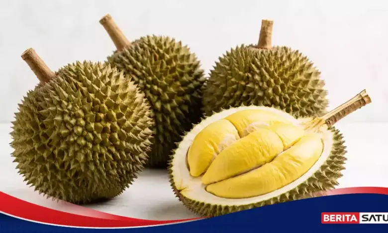 Durian Ternyata Berasal dari Kalimantan, Inilah Alasan Buah Ini Begitu Bernilai