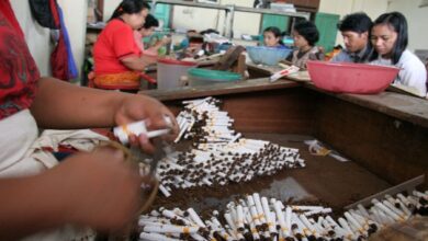Kenaikan Cukai Tembakau Memicu Kekhawatiran PHK di Industri Padat Karya