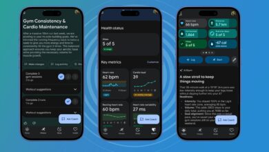 Google Siap Menutup Jalan Pintas Fitbit Lama, Dukungan Versi 4.x Akan Berakhir