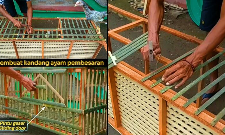 7 Desain Kandang Ayam Pintu Geser yang Efisien, Cocok Saat Lahan Terbatas