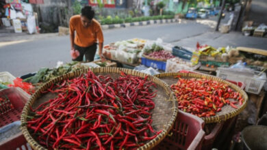 Cabai dan Minyak Menekan Belanja Warga, Harga Sembako Jawa Timur Akhir Juni 2026