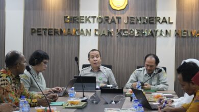Harga Ayam dan Telur Tertekan, Kementan dan Dinas se-Jawa Dorong Data Satu Pintu